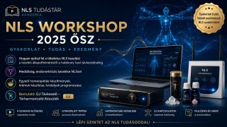 NLS Workshop 2025 Ősz szeminárium