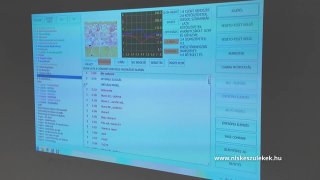 Egyedi homeopátiás készítmények, krémek készítése, kristályok programozása
