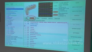 A szervezetben megjelenő rákgyanús folyamatok felismerése és kezelési protokoll felállítása, esettanulmány